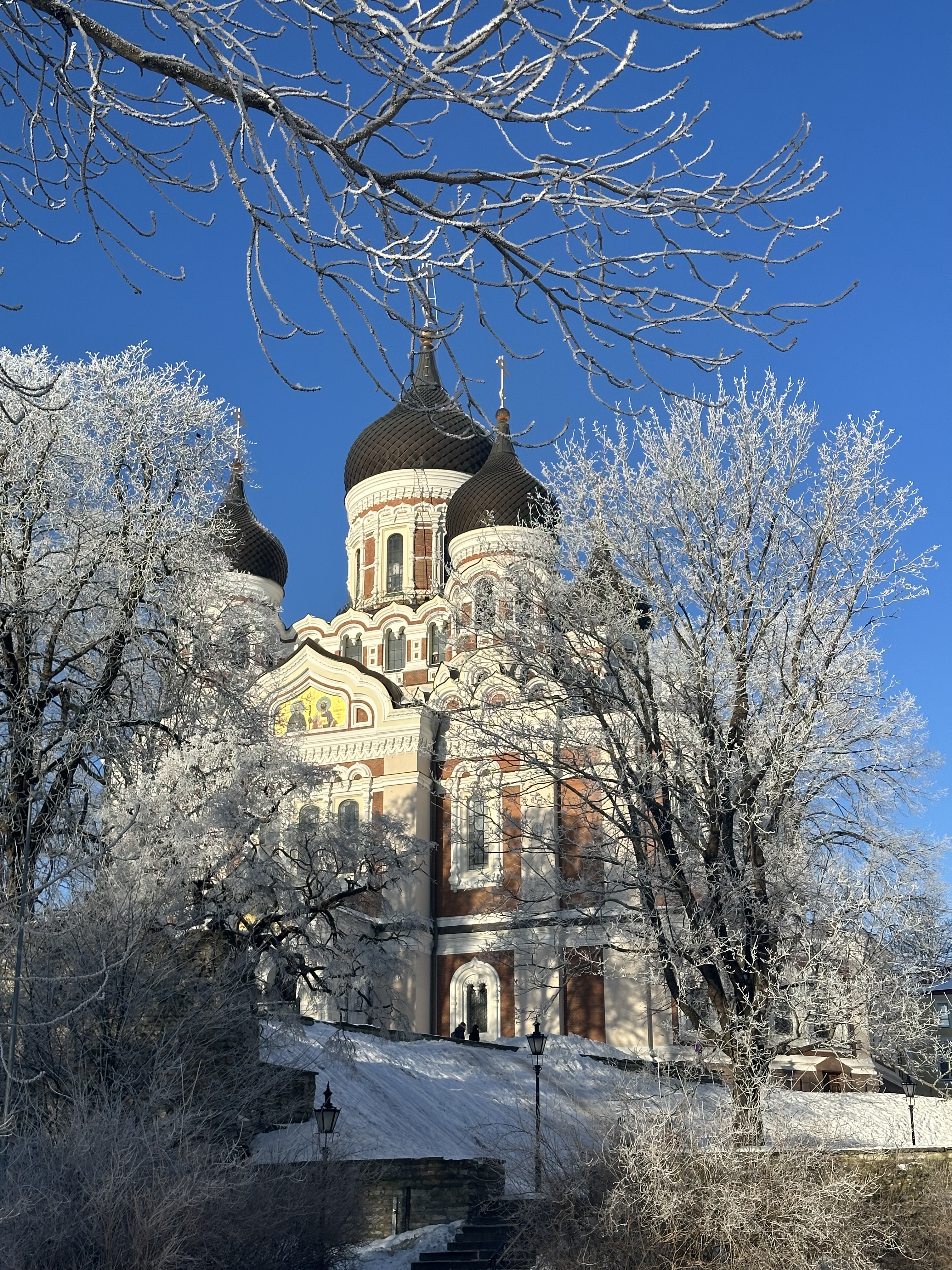Tallinn in Winter: The Perfect Long Weekend Guide to Estonia’s Fairytale Capital ❄️🇪🇪