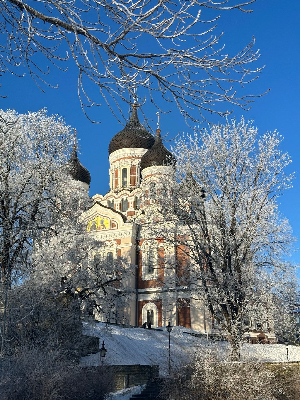 Tallinn in Winter: The Perfect Long Weekend Guide to Estonia’s Fairytale Capital ❄️🇪🇪